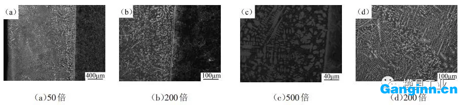 不同倍數(shù)下熔覆層的顯微組織 不同倍數(shù)下熔覆層的顯微組織