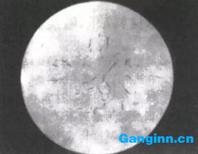 熱軋鋼坯及大型鍛件白點